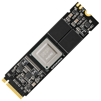 GW16168 AI Accelerator