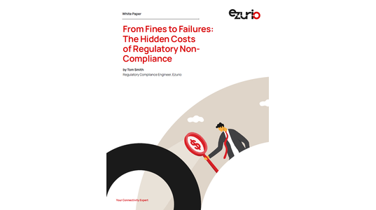 From Fines to Failures: The Hidden Costs of Regulatory Non- Compliance