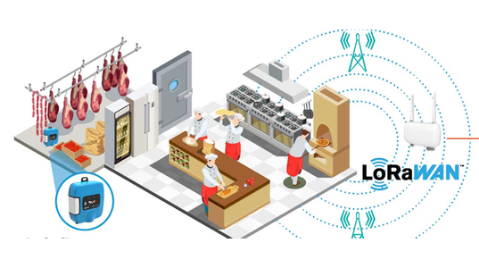 Automated Temperature Monitoring - By Actility, Ezurio, and MyDevices