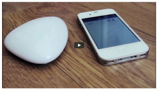 Blue Maestro: Innovative Bluetooth Smart Thermometer