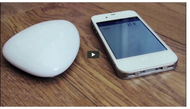 Blue Maestro: Innovative Bluetooth Smart Thermometer